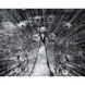 Silver Plumage Charcoal Luxe Art